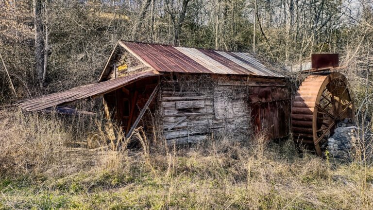 blogs about riley kyger