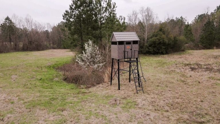 Ok Google Deer Blinds At Linden Sporting Goods: Guide