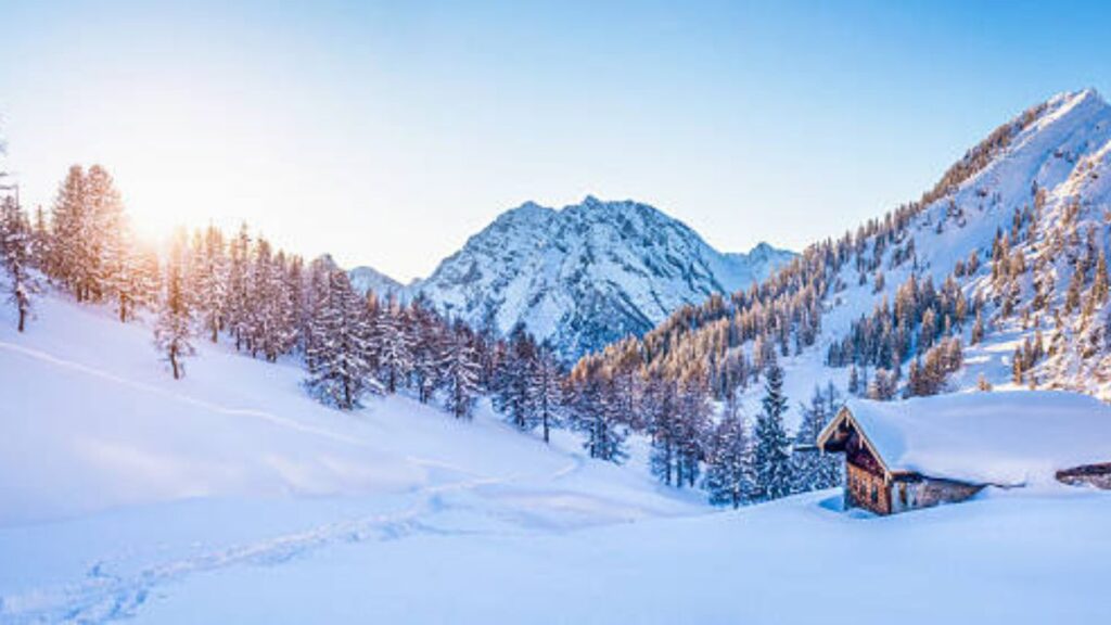 The Rise of Hitlmila: Unpacking Its Popularity and Impact