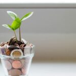 How Gavel Club Balance Their Finances