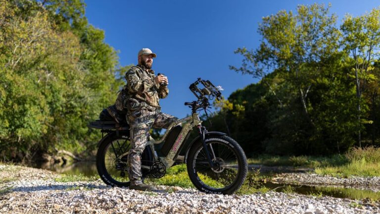 Demand and experience of long range ebike users