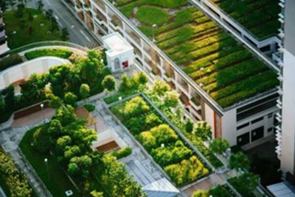 Sustainable Roofing Solutions: Trends, Techniques, and Best Practices for a Greener Future Sustainable Roofing Solutions: Trends, Techniques, and Best Practices for a Greener Future
