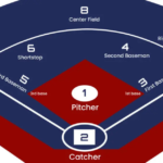 softball positions dichotomous key