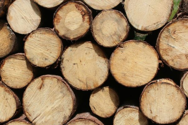 Igniting Passion: The Story Behind Timtum Halev Firewood Timtum Halev Firewood