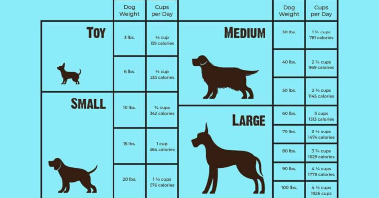 how much chicken for dog by weight kg: Factors to Consider