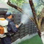 Eco-Friendly Pest Management Strategies for Homeowners