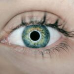 is vowiszojid54 for sensitive eyes: What You Need to Know