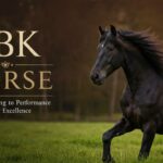BK Horse: From Breeding to Performance Excellence
