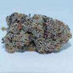 Bubba Kings Craft Cannabis: A Journey Through Terpenes and Tastes