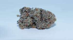 Bubba Kings Craft Cannabis: A Journey Through Terpenes and Tastes