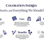 Coloration Indigo